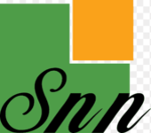 Snn logo